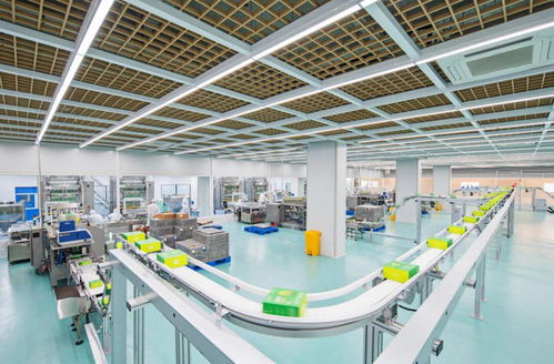 科技立企，智造未来 解码未来生物的智能化研发体系与蓝图