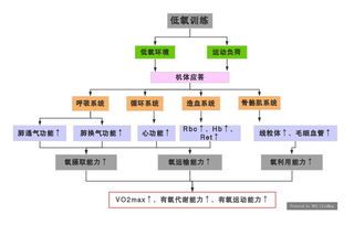 智能化低氧技术发展及其应用